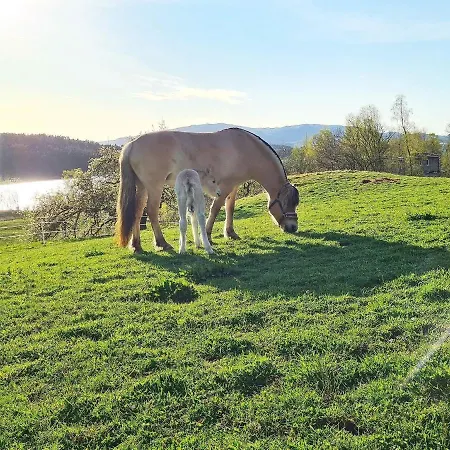 Feriehus 5 Person In Lonevag-by Traum Lonevåg